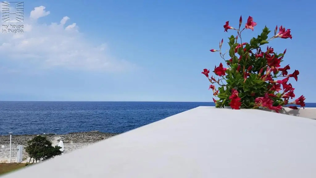 Case Vacanza Marzano
