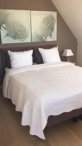 B&B Soluna