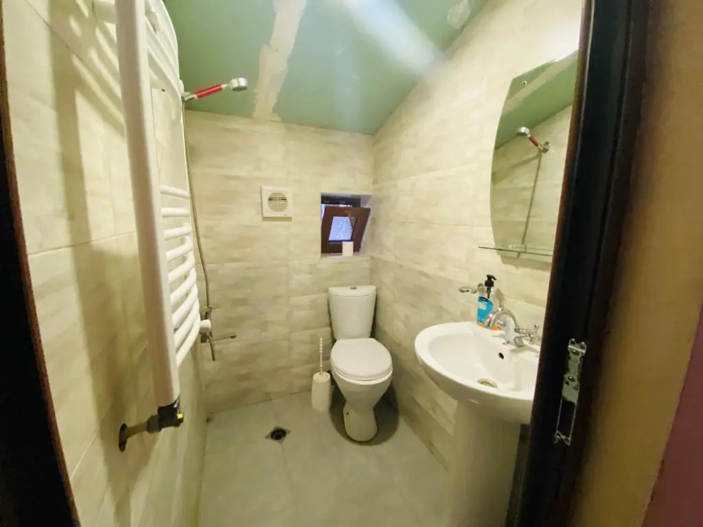 ბორჯომი საოჯახო სასტუმრო "გიომანი" Borjomi Guest House "GioMaNi" დასვენება ბორჯომში "GioMaNi"
