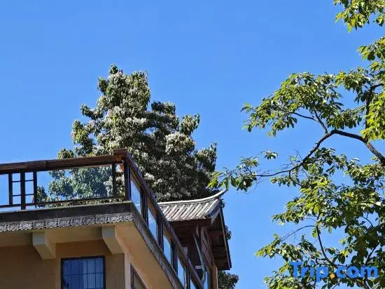 Shaxi Weiran Mountain Villa