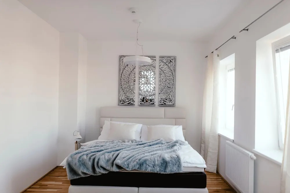 Luxury Apartments Zelny Trh 4