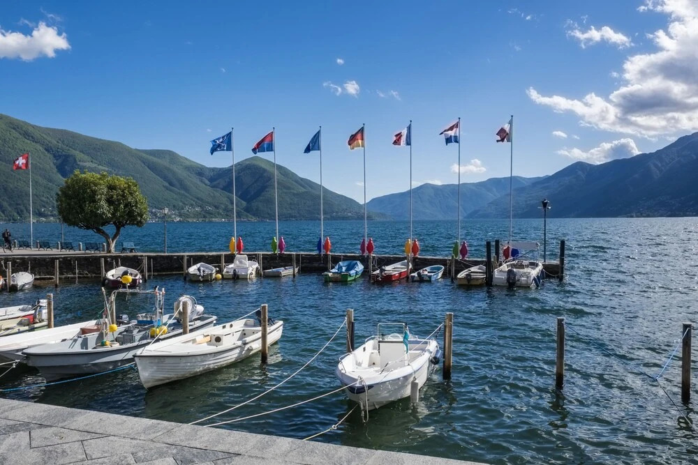 Rustic Mountain Brissago 2