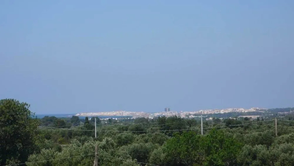 Terra e colori