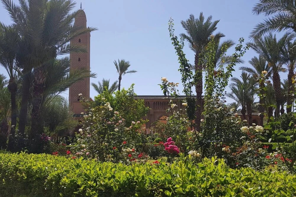 Riad Ansar