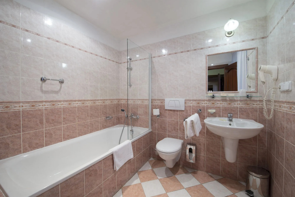 Hotel Cerny Slon