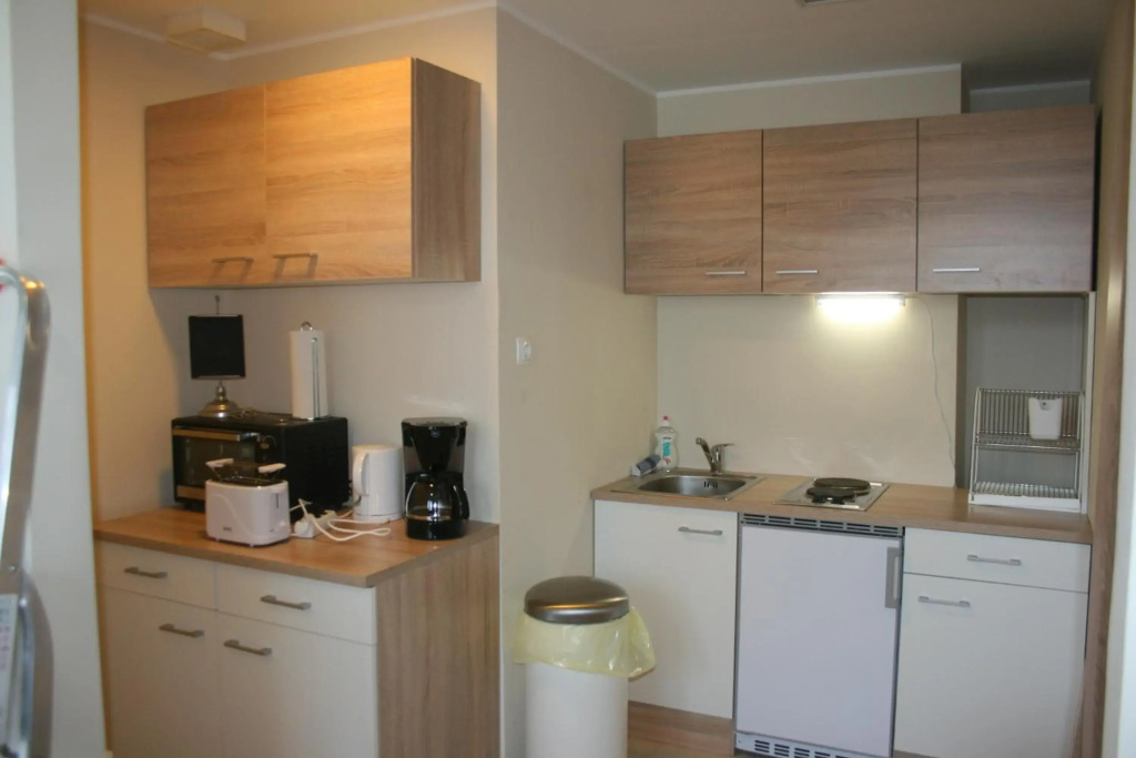 Vienna City Loft Apartment