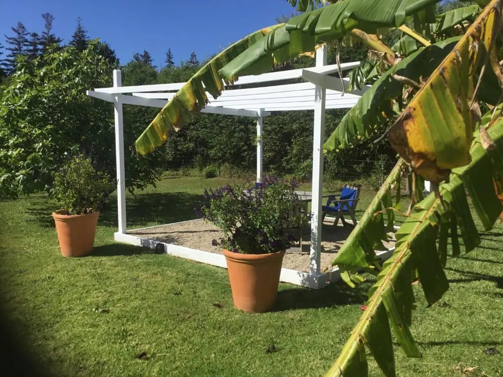 Pa Road B&B Kerikeri NZ