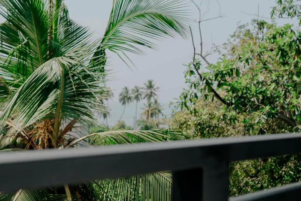Brand new apartment in Nature just 2 minute walk to beach