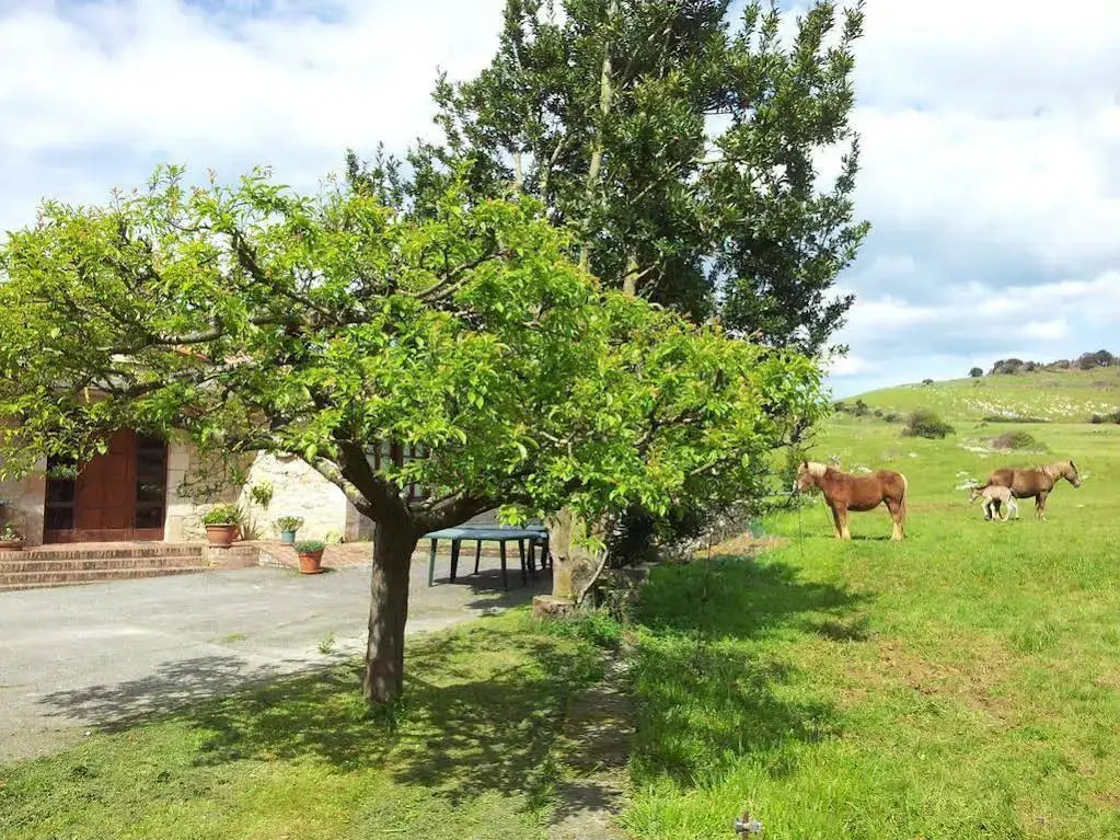 Posada La Roblera