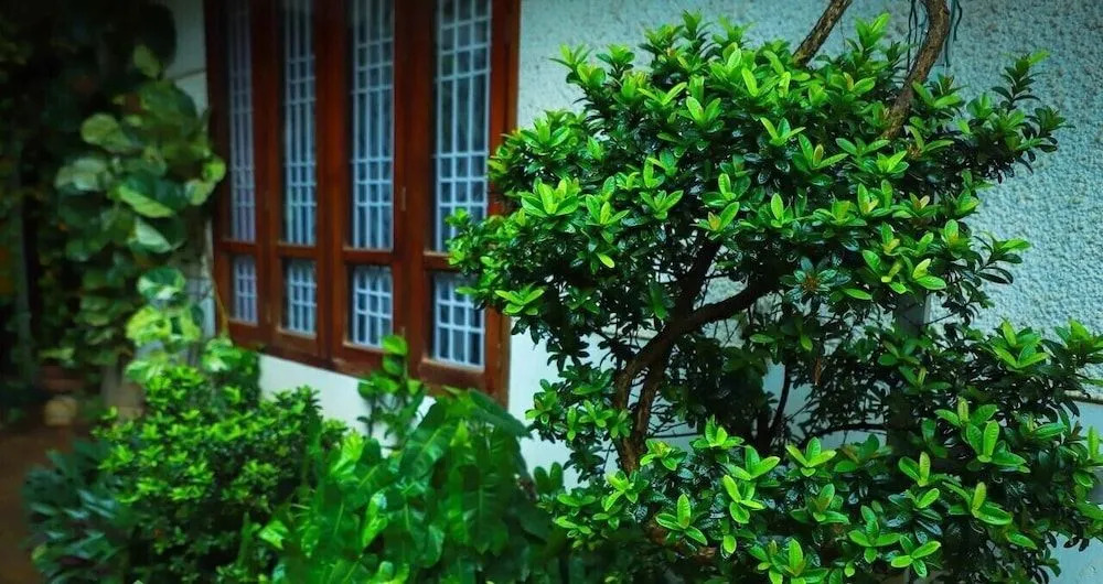 Nutshell-Airport Retreat by the Sea