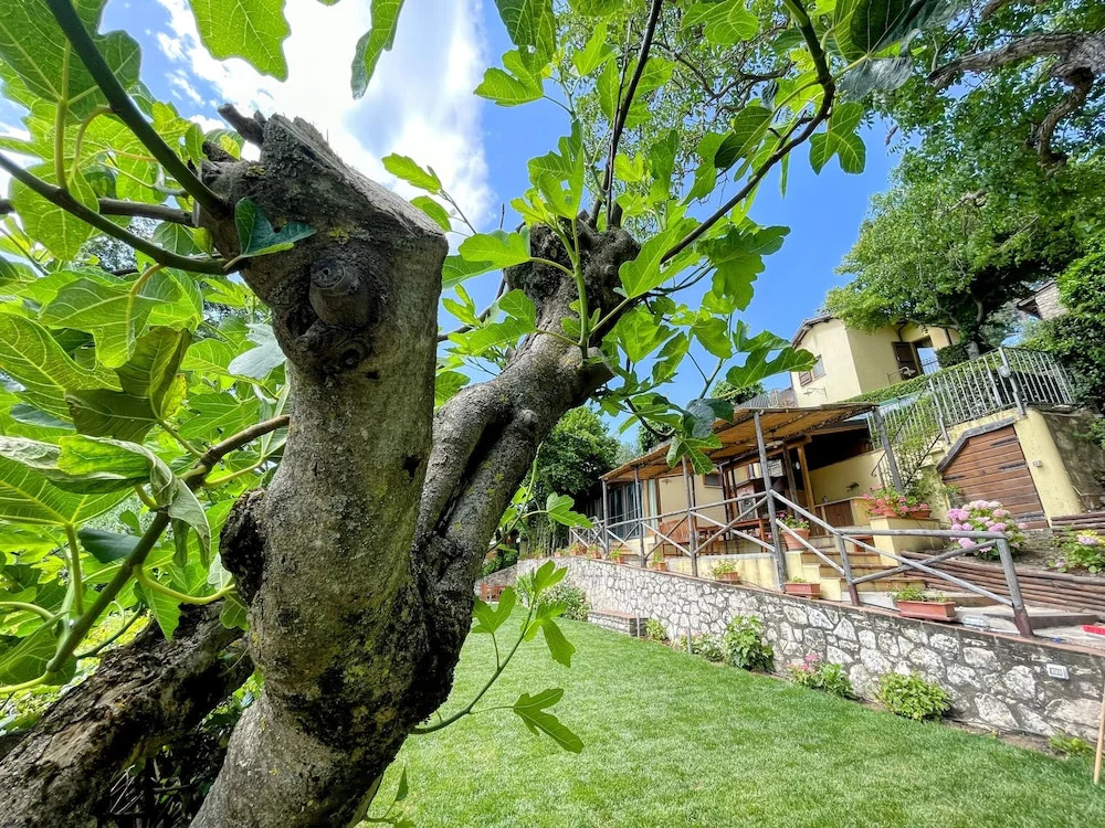 Spoleto Splash : Casetta/slps 4/5 Wifi/dishwasher - Beautiful Private Garden
