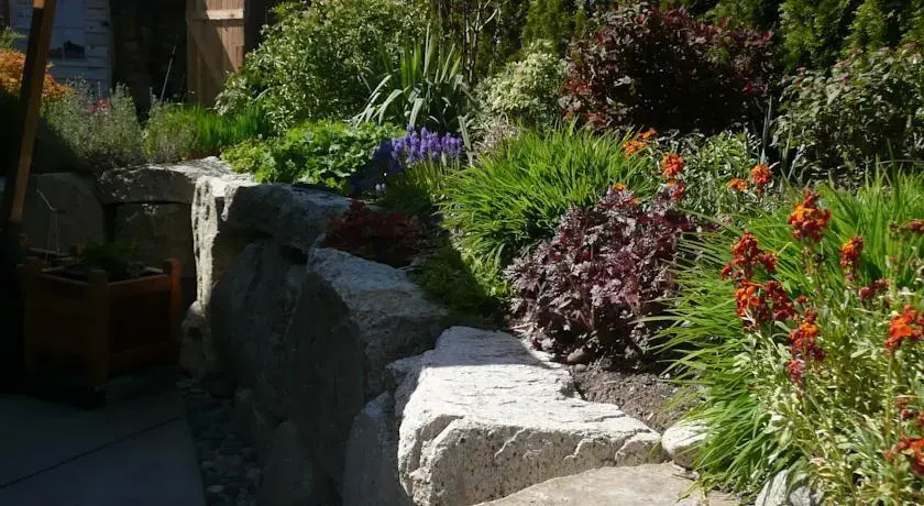 Pacific Heights B&B