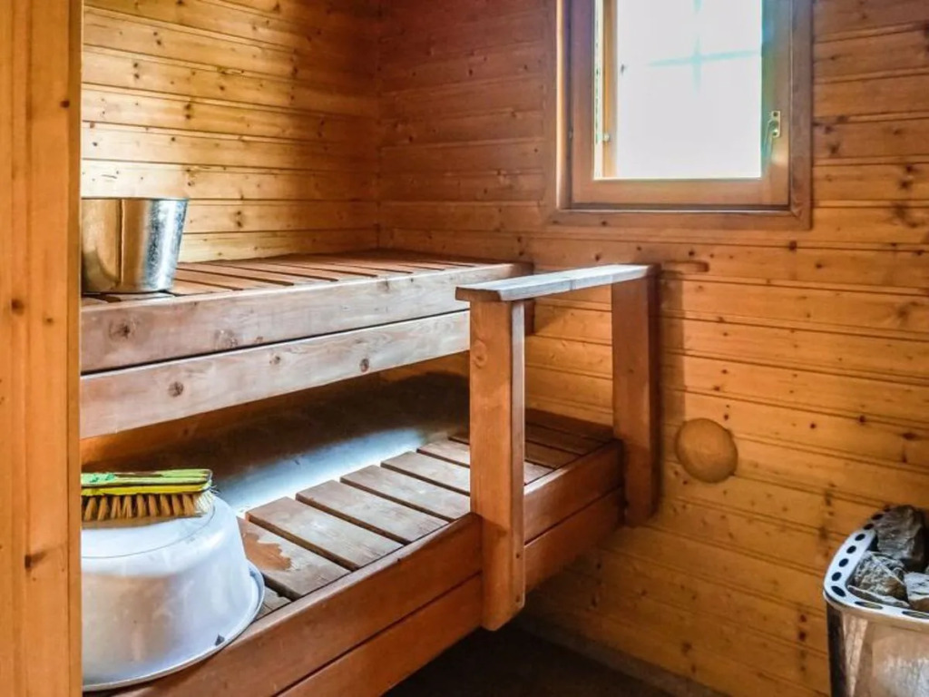 Naurulokki 4