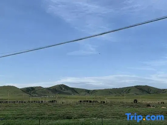 Ulan Tuya Homestay (Chifeng Hexigten Banner Wulan Butong Grassland Scenic Area)