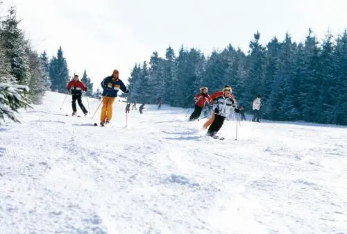 Das Nest Winterberg