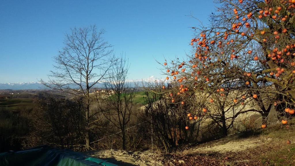 Cascina Torello