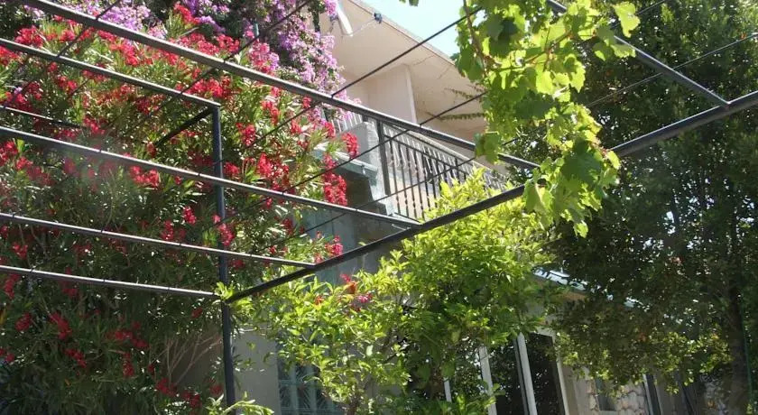 Apartments Stari Pavle