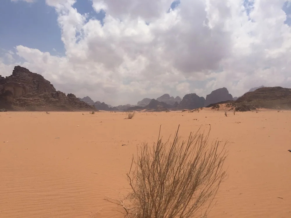 Desert Star Camp