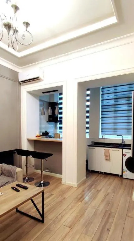 Cozy one bedroom apartment in central Tashkent
