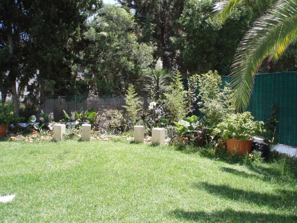 Apartamentos Osa Menor