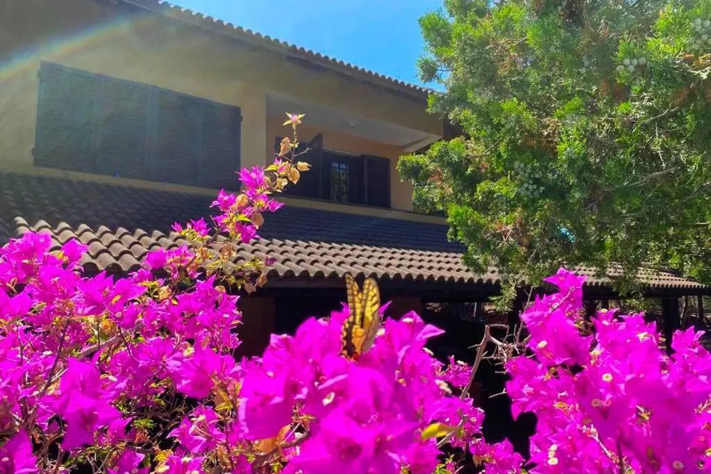 Domus 81 [Unità 8] - Villa con piscina in Sardegna