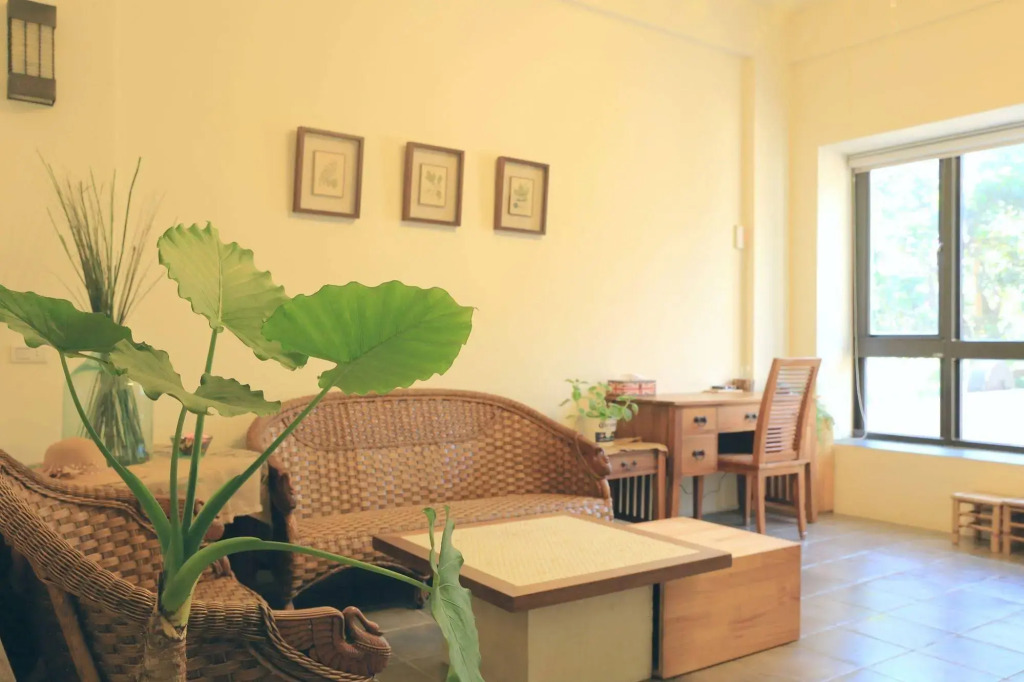 Zeroplus B&B