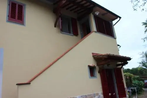 Il Vecchio Cipresso
