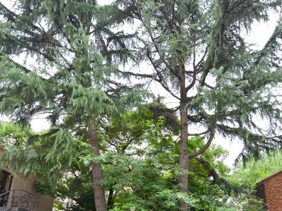 Nanquan Hotel
