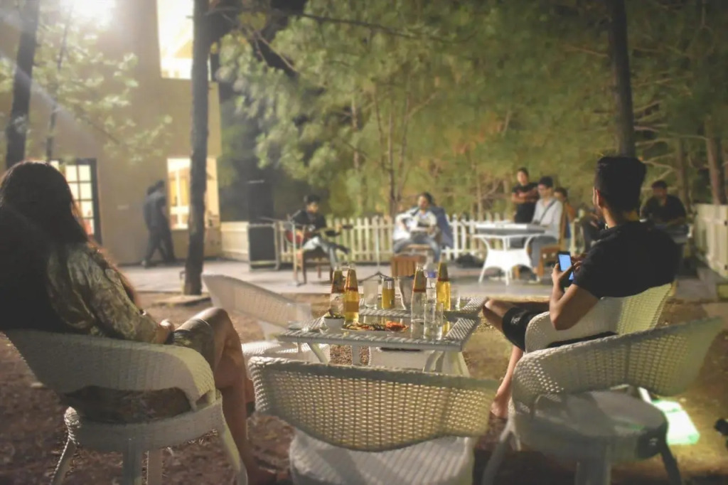 Jungle Lodge Resort & Spa