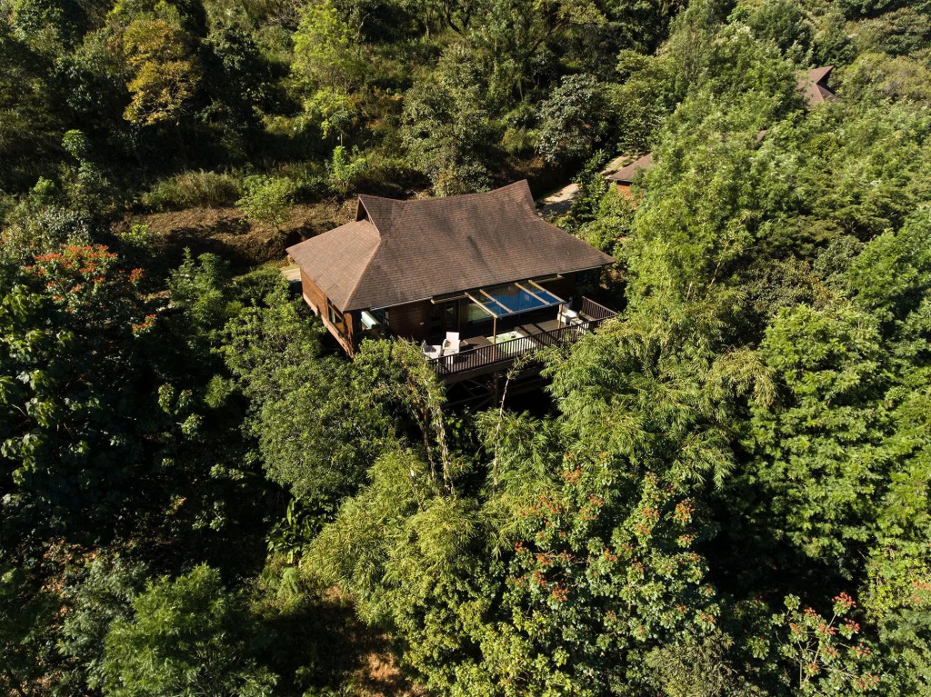The Tamara Coorg
