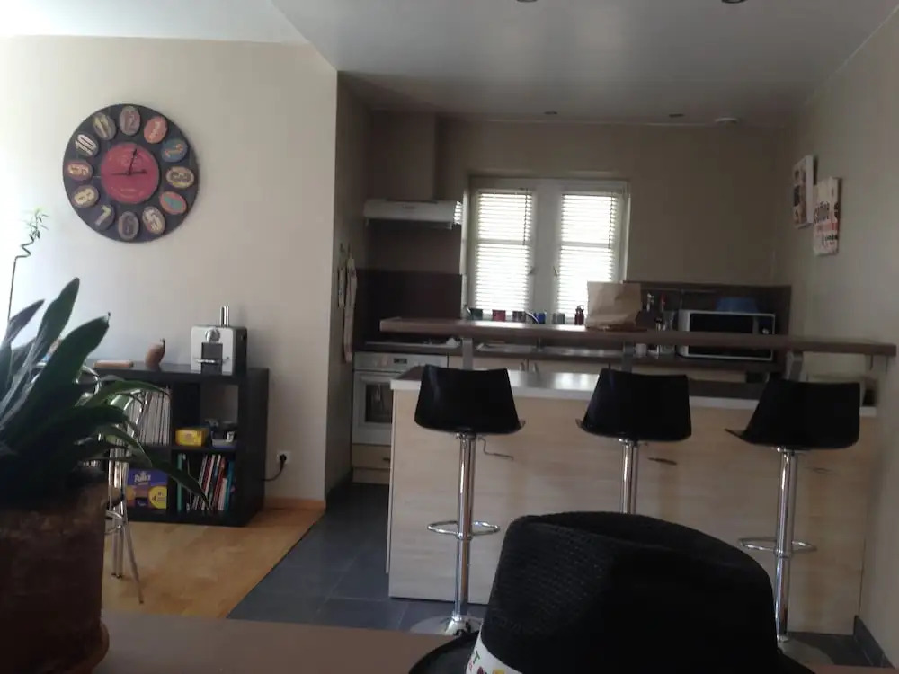 Appartement Plein Centre la Bulliere