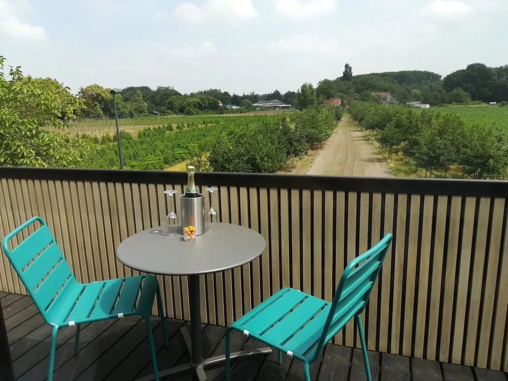 B&B De Stuifduinen