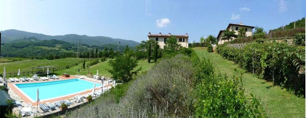 Vigneto Rimaggio
