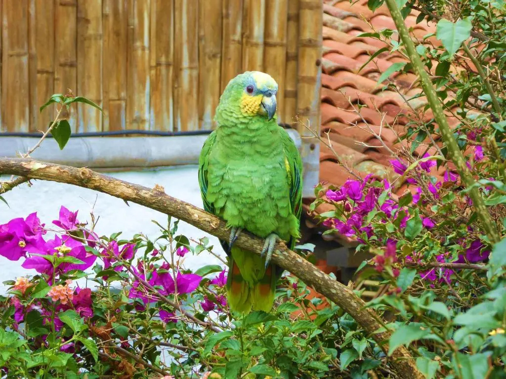 Finca El Cielo