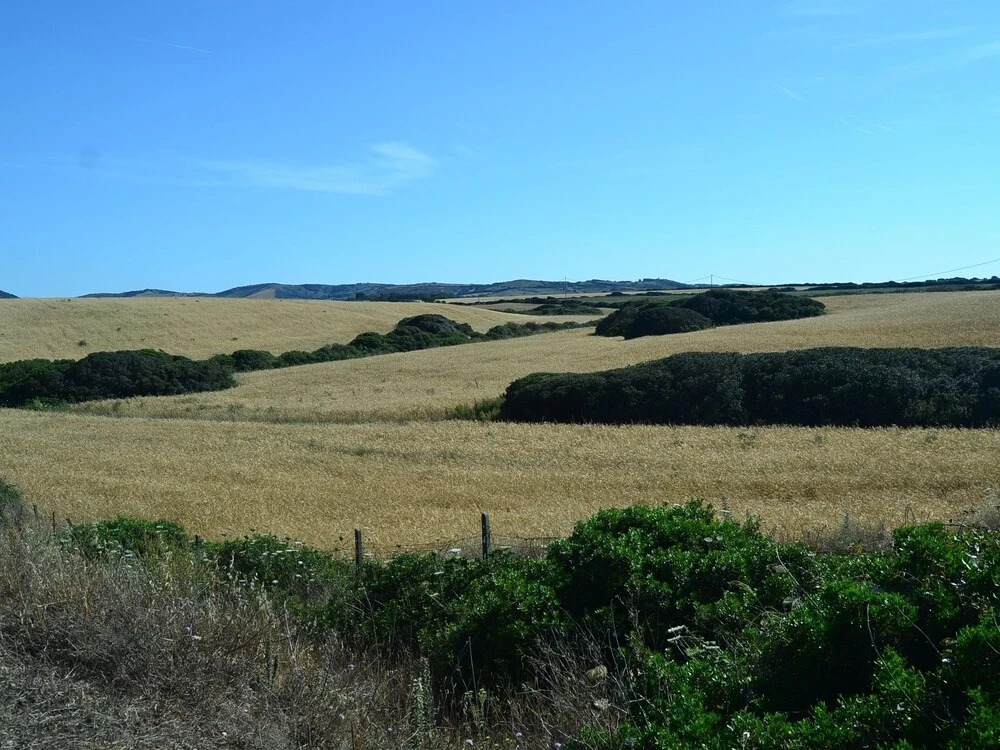 Holiday Home in Stintino Near Sea Beach