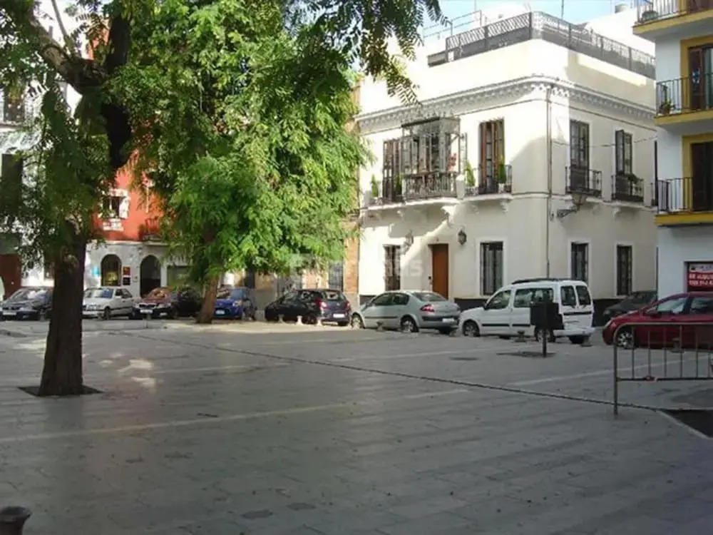 Apartamento coqueto en el Barrio Santa Cruz