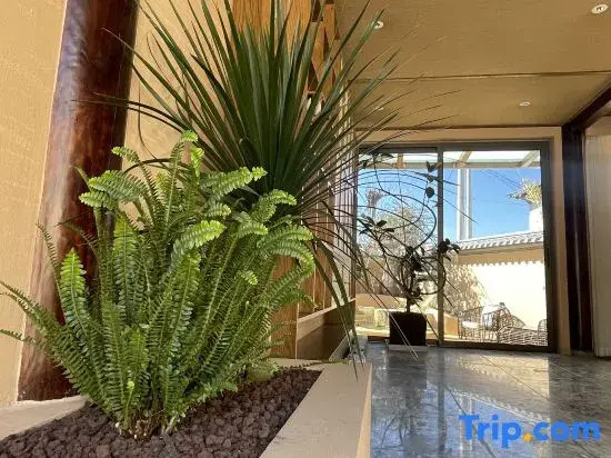 Shaxi · Donglixia · Pastoral-style Designer Courtyard with Artistic Aesthetic Conception