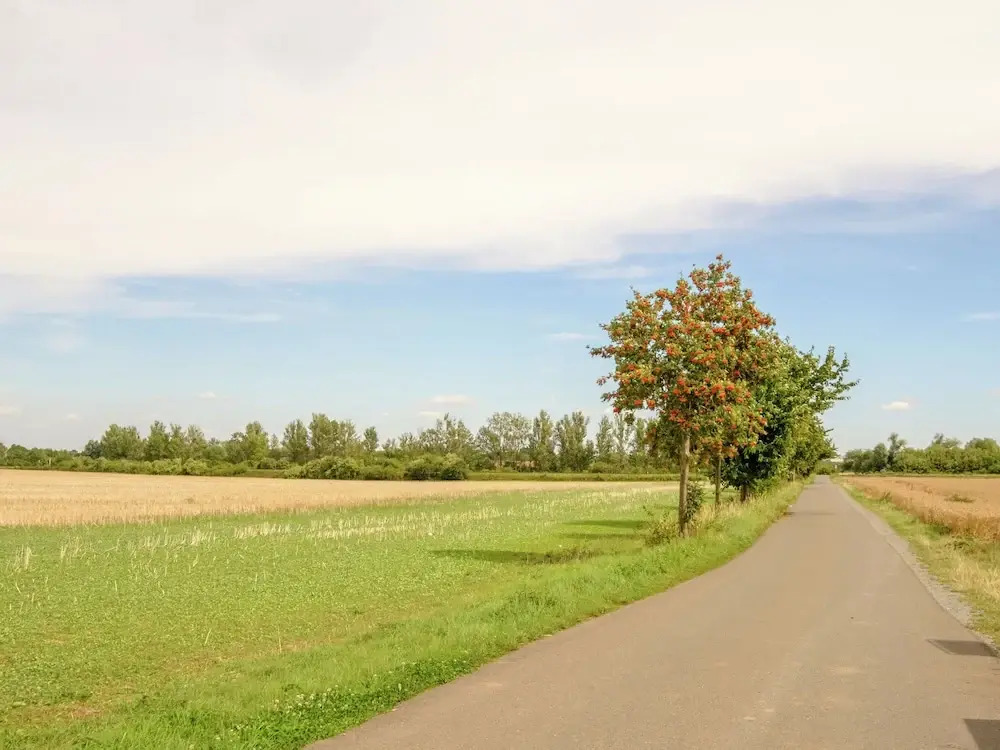 Welcoming Holiday Home in Gernrode With Garden