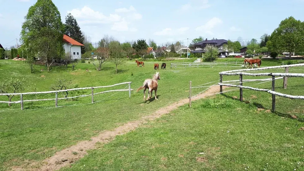 Ranch Terra