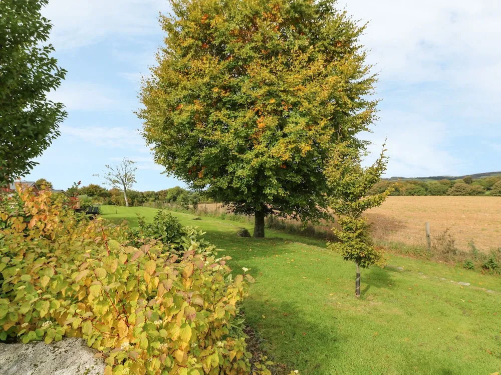 7 Horizon View, Liskeard