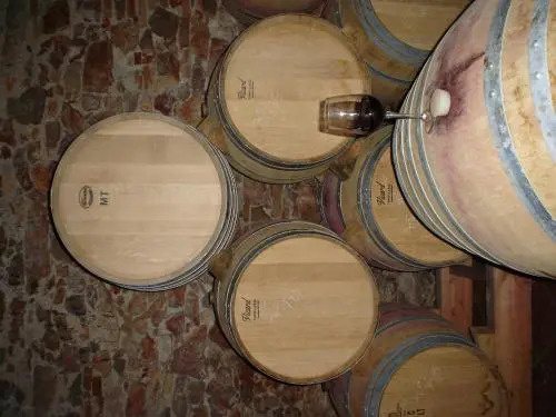 Ca la Viola