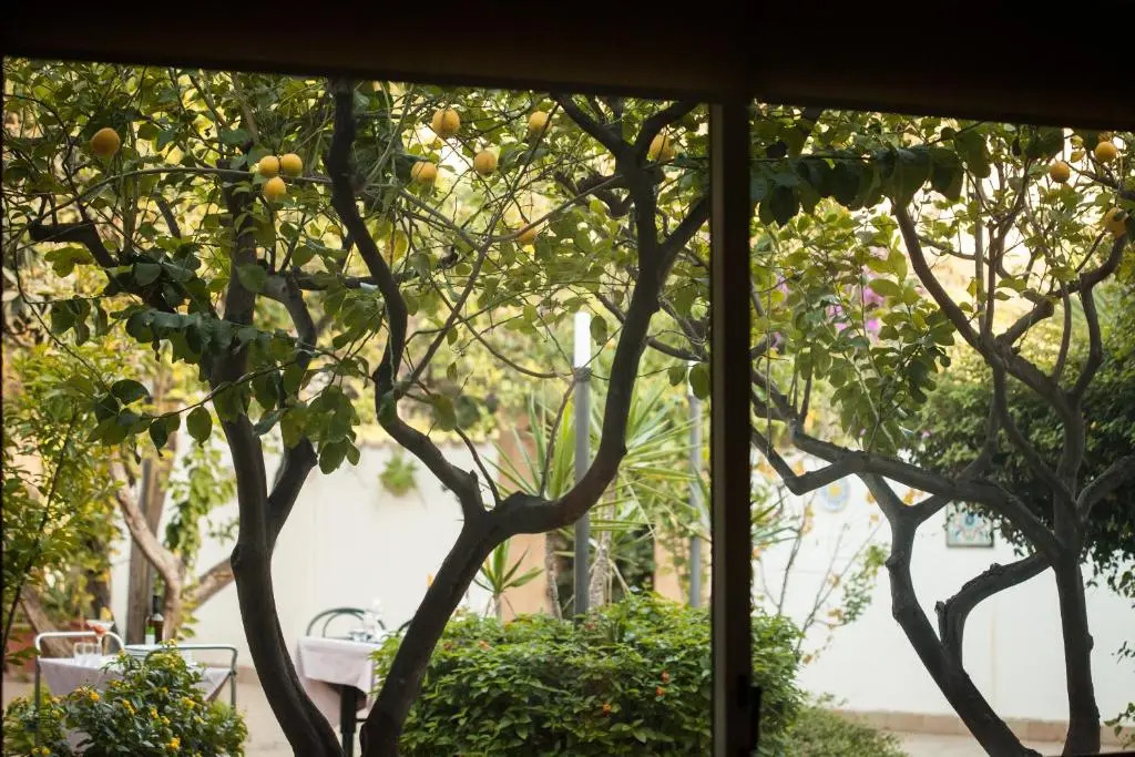 LAlbero