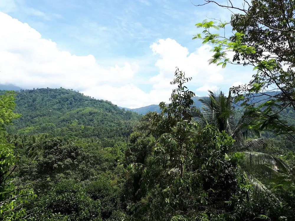 Lace House Homestay