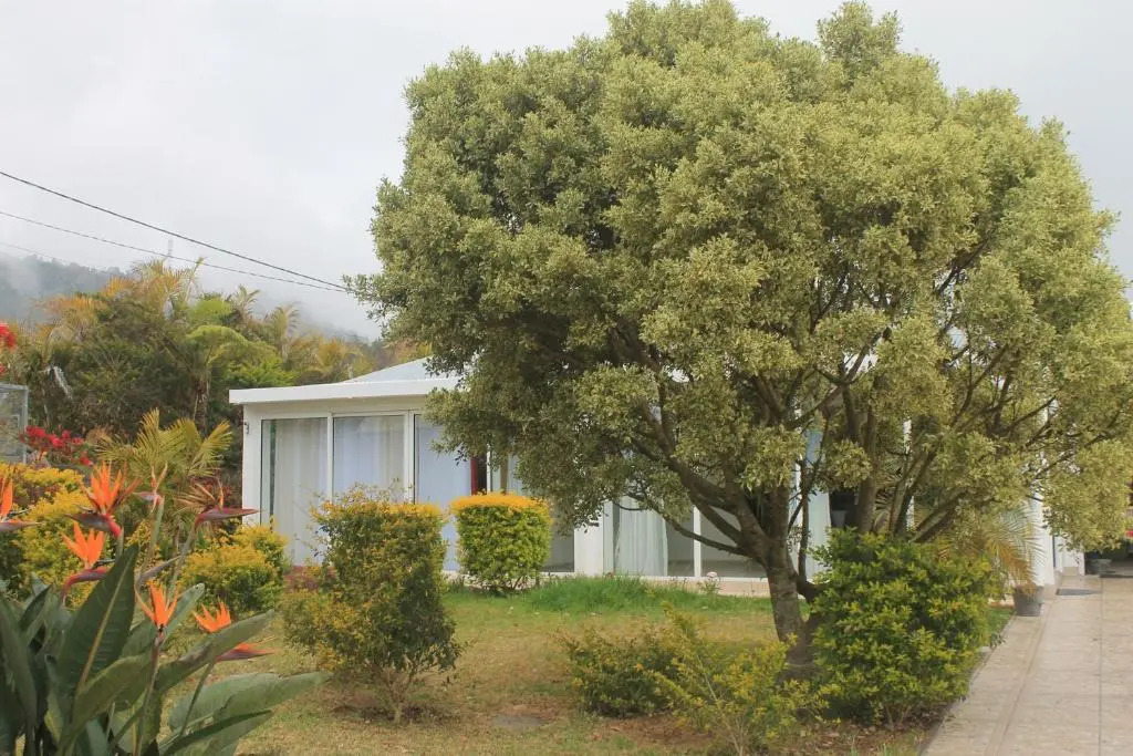 Le Bougainvillier
