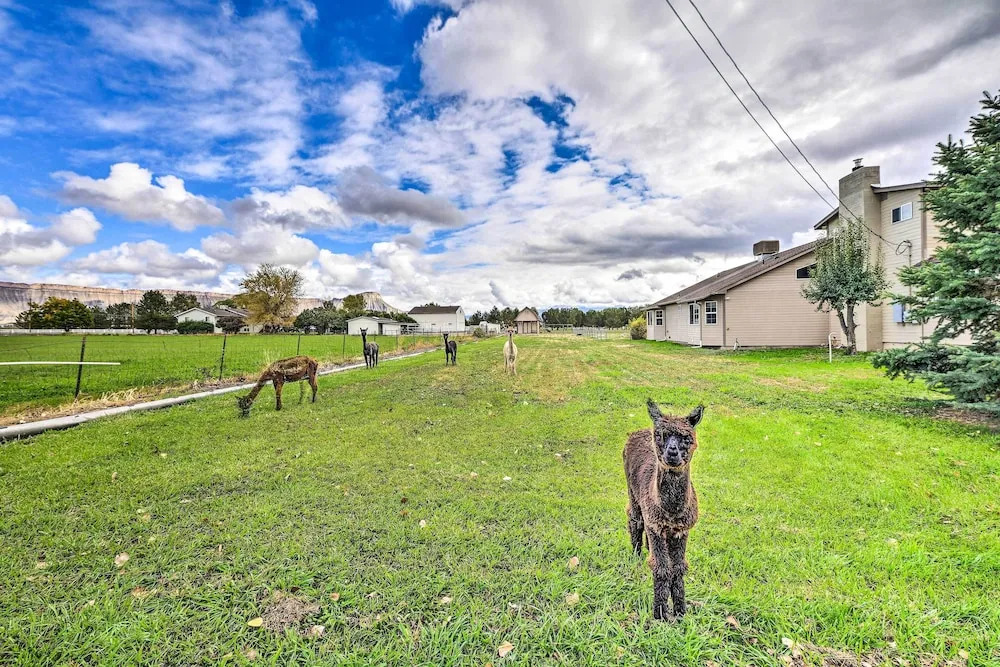 The Vineyard Country Farm Home at Grand Valley