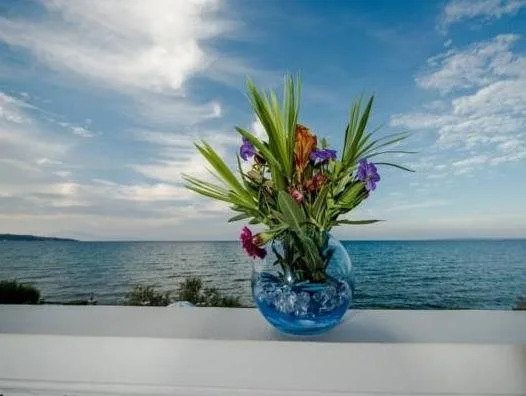 Anemona Beach Hotel