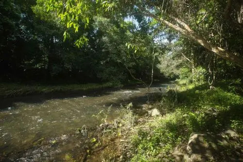 Cairns Homestead: A Peaceful Getaway