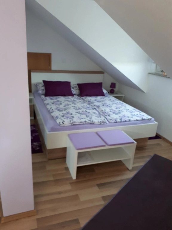 IRIS Room & Apartment