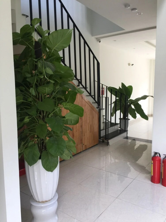 Royal Lion Hotel and Apartment