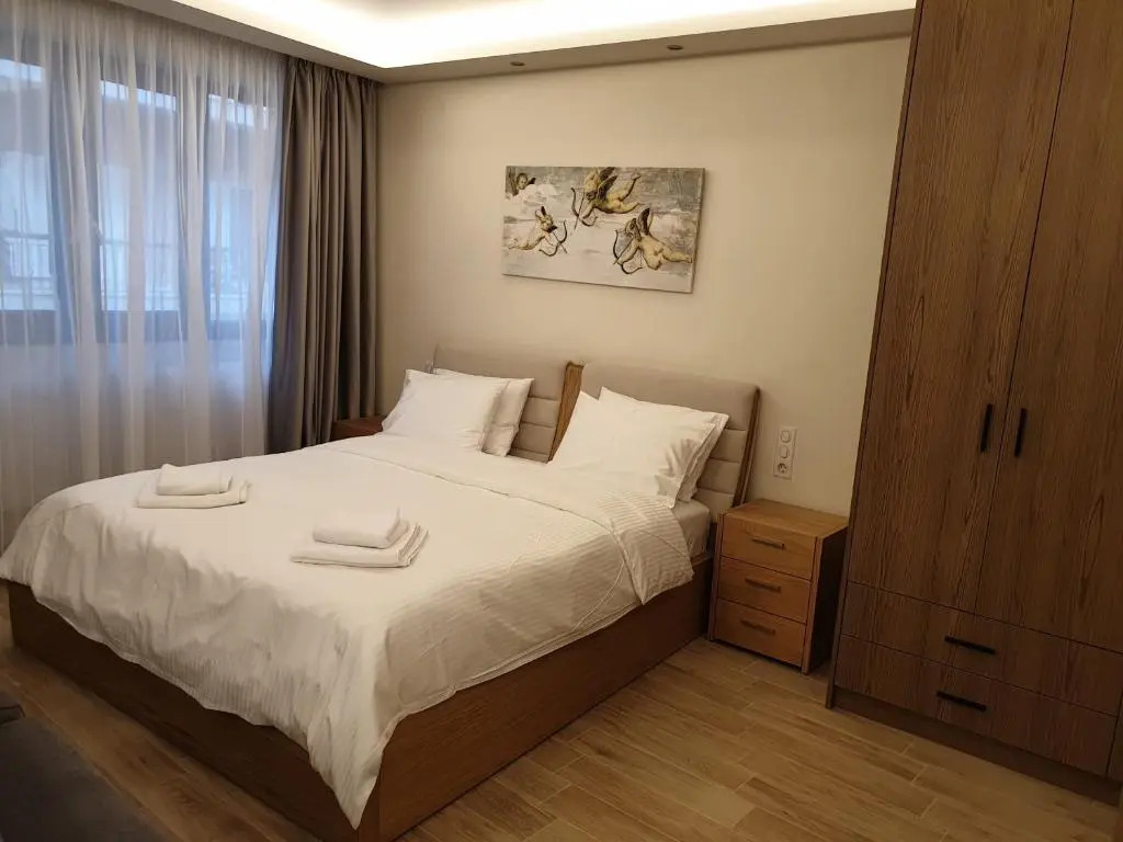 Olive Deluxe Apartment
